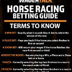 best type of bet for horse racing